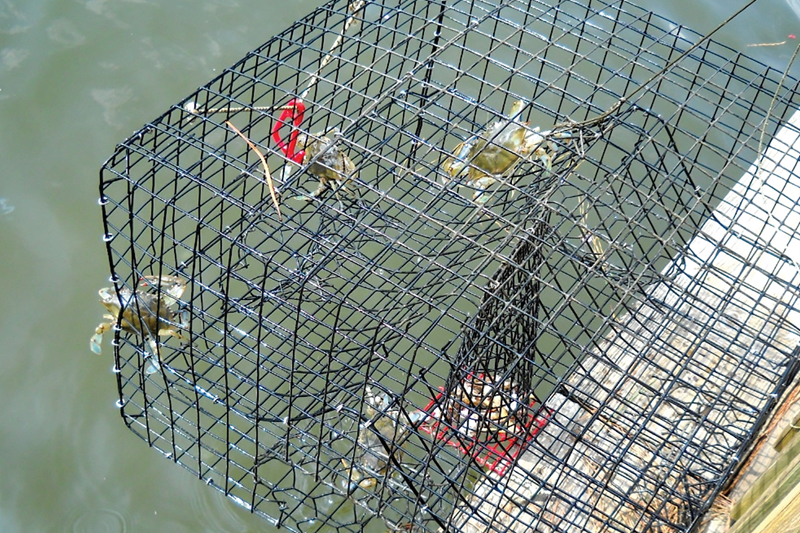 Direct Metals PVC Mesh Wired Crab Traps