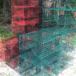 Wire Mesh Lobster, Crab, and Crawfish Traps with Material Supplied by Direct Metals